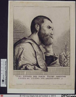 Bildnis Pietro Aretino