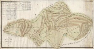 Plan über einen Theil des Herrschafft-Wald im Scheuermer Forst bey dem Kaltenbronnen