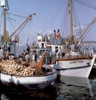 Zwei Fischerboote im Hafen