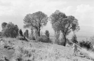 Baumgruppe am Zuqualla Vulkan : Landschaft mit einer Baumgruppe und Personen
