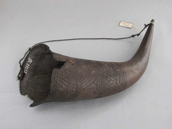 Drinking horn