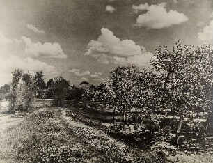 Blühende Landschaft