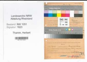 Entnazifizierung Herbert Thamm , geb. 22.10.1909 (Regierungsrat)