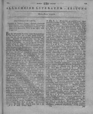 Haworth, A. H.: Synopsis plantarum succulentarum, cum descriptionibus, synonymis, locis, observationibus anglicanis culturaque. London: Taylor 1812