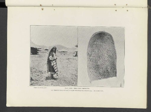 Plate LXXIV.