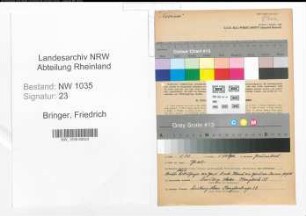 Entnazifizierung Friedrich Bringer , geb. 04.07.1888 (Fahrhauer)