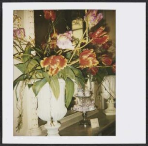 Blumen im Café Behmel in Wien