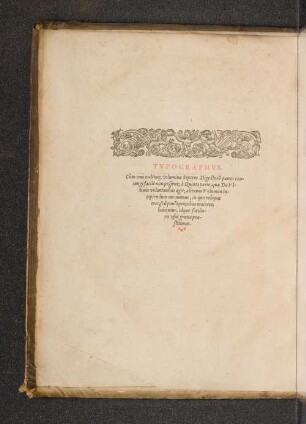Typographus.