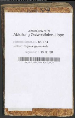 Regierungsprotokolle - Band 38