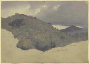 Bewaldeter Berghang bei Eppstein