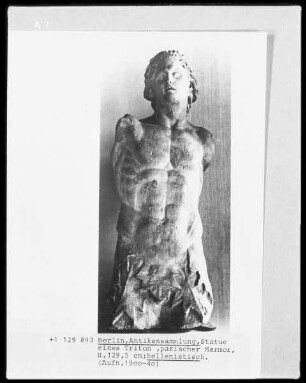 Triton
