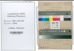 Entnazifizierung Hermann Luebbe , geb. 04.10.1907 (Angestellter)