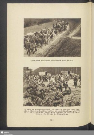 Im Walde von Villers-Cotterets (Aisne)