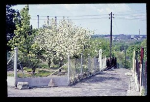 Spandauer Berg 18.5.70.