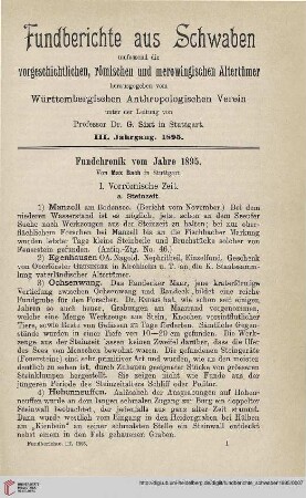 3: Fundchronik vom Jahre 1895