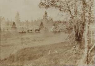 Yellowstone: crossing the river