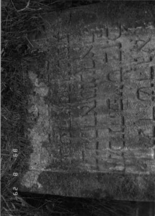 Grabstein 446 (Index: 100107981) Material: gelber Sandstein Zustand: verwittert, versalzen, eingesunken Maße HxBxT: 75x52x11 cm Beschreibung: Stele, geschwungen eingezogener Bogenabschluß, Schriftfeld rechteckig eingetieft Besonderheit: Kindergrab: Grabstein 446A