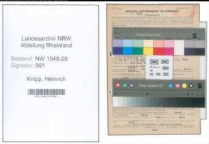 Entnazifizierung Heinrich Knipp , geb. 03.07.1914 (Kaufmann)