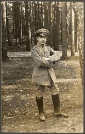 Wrede, Waldemar