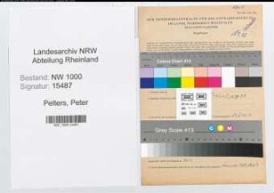 Entnazifizierung Peter Pelters, geb. 23.08.1901 (Postschaffner)