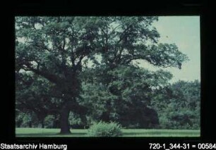 Hirschpark