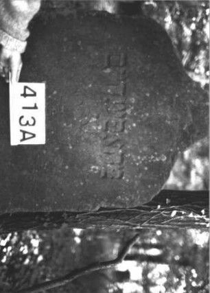 Grabstein 413 (Index: 99898279) Material: Sandstein Zustand: stellenweise angewittert Maße HxBxT: 130x65x9 cm Beschreibung: Stele mit Schulterbogenabschluss: Grabstein 413A