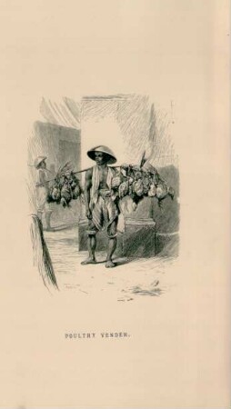 Poultry vender