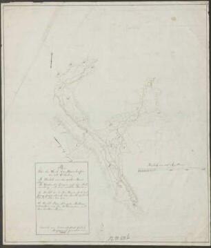 Plan über die Waid der Maierhoefen zu St. Wilhelm