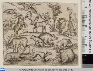 Große Tiere