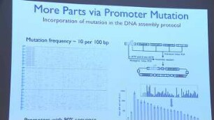 Engineering Yeast: Synthetic Modularity at the Gene, Circuit, Pathway and Genome Level