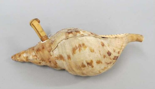 Snail trumpet