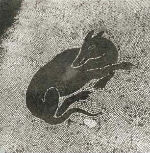 Liegender Hund : Liegender Hund. Mosaik. Pompeji, Haus des L. Caecilius Jucundus, Empfangsflur