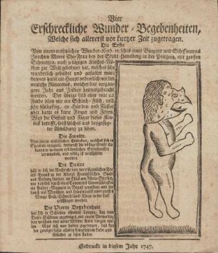 Vier Erschreckliche Wunder-Begebenheiten, Welche sich allererst vor kurtzer Zeit zugetragen