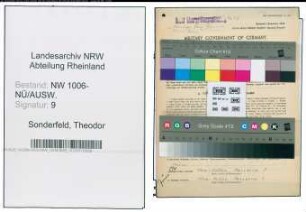 Entnazifizierung Theodor Sonderfeld , geb. 06.04.1904 (Amtsgerichtsrat)