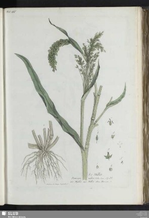 Le Millet