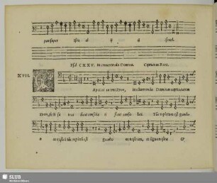 XVII. Rore, Cipriano de: In convertendo Dominus