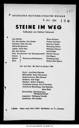 Steine im Weg