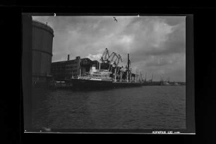 Belgrano (1953), Frachtschiff, HSDG, Hamburg, Bau-Nr. 435