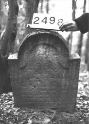 Grabstein 2498
