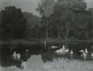 Badende im Waldweiher am Abend