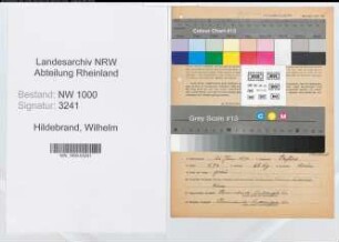Entnazifizierung Wilhelm Hildebrand, geb. 26.06.1890 (Pastor)