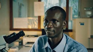 Das Fieber - Der Kampf gegen Malaria