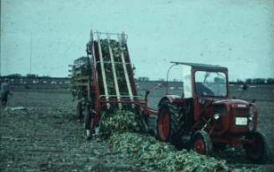 Fotografie: Erntetechnik, Zuckerrübe, Blattbergung, Fuderlader, Zweiachsanhänger