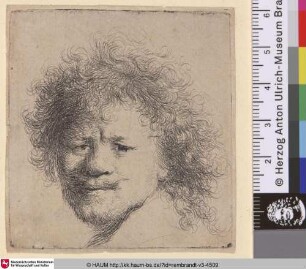 [Selbstbildnis mit emporstehenden Haaren; Selbstbildnis mit langem buschigem Haar; Self-Portrait with Long Bushy Hair: Head only; Portrait de Rembrandt aux cheveux hérissés]