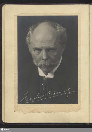 Bl. 30. Steiner, Franz, Strauss, Richard, Schuch, Ernst von
