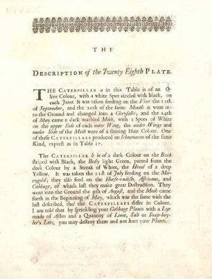 The Description of the Twenty Eighth Plate