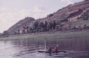 Elbe bei Diesbar. Ruderboot auf der Elbe