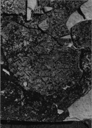 Grabstein 144 (Detailaufnahme)