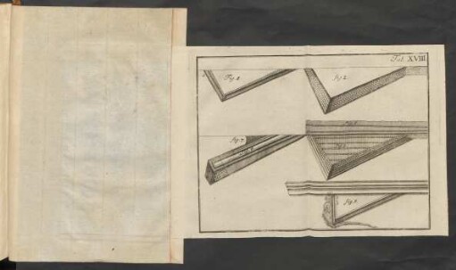 Tab. XVIII