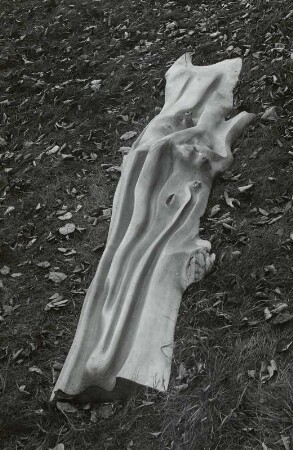 Stele